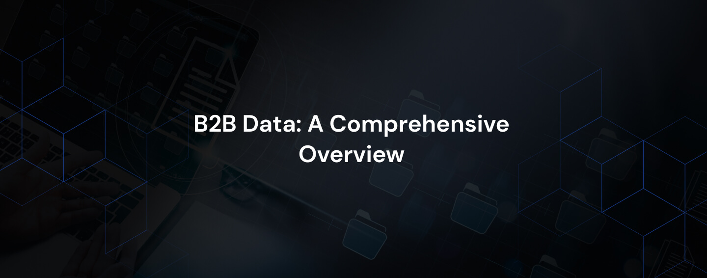 B2B Data: A comprehensive overview